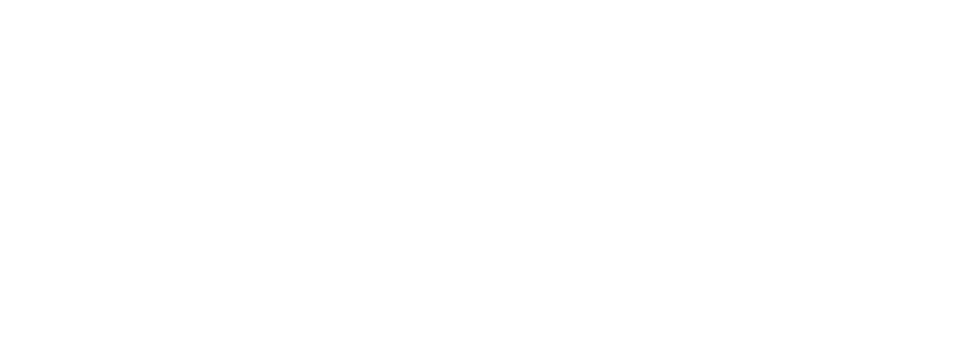 Paulo Viana Photographe